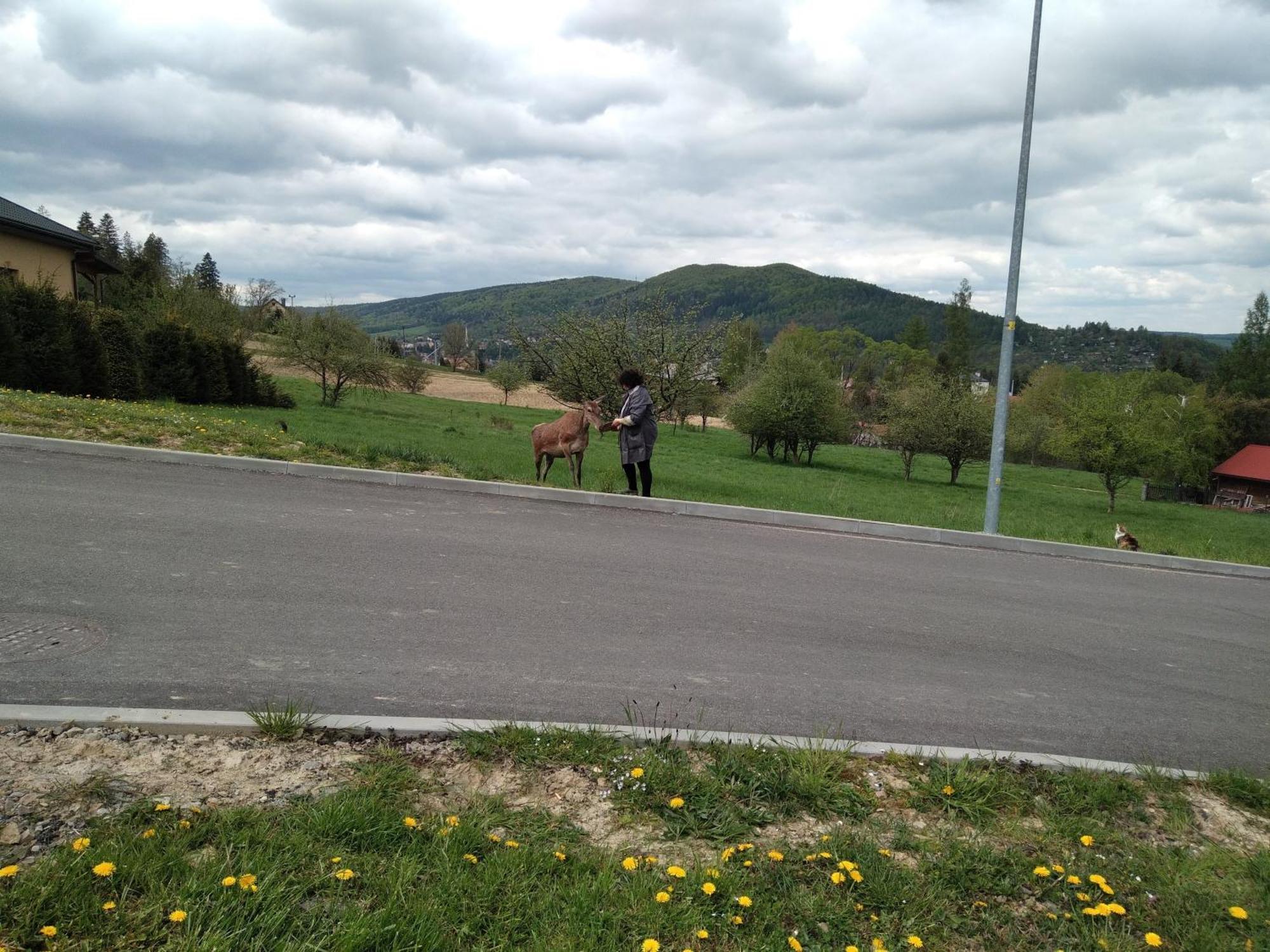 Ostoja Gromadzyn Ustrzyki Dolne Exterior foto
